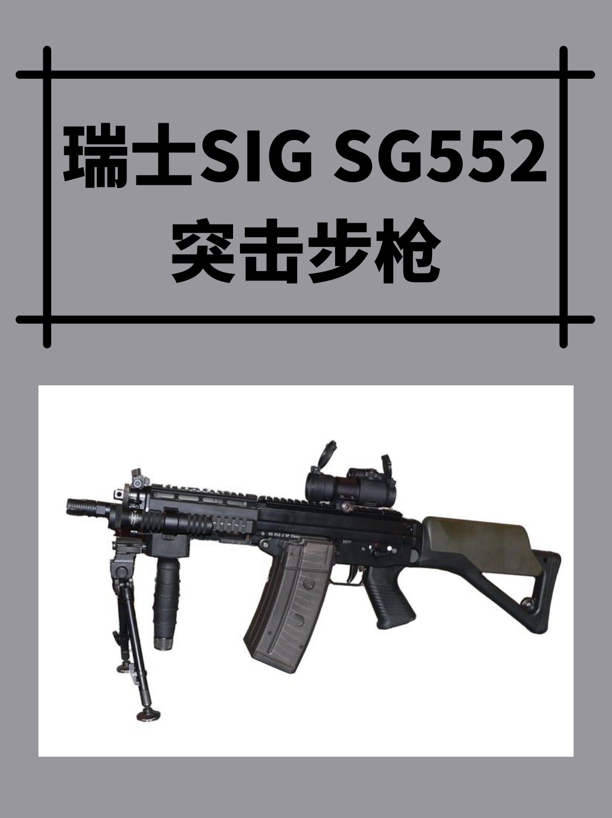 瑞士SIG SG552突击步枪