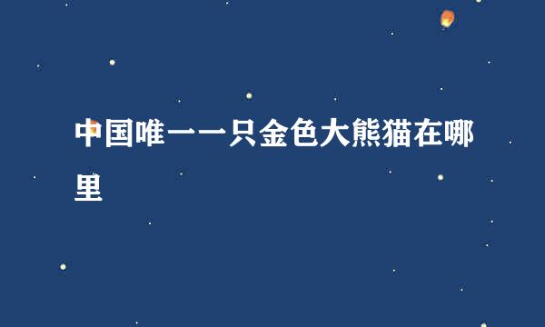 中国唯一一只金色大熊猫在哪里