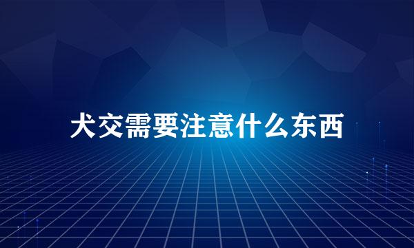 犬交需要注意什么东西