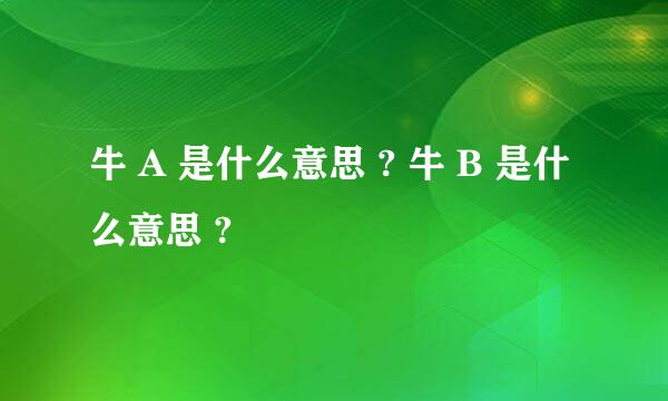 牛 A 是什么意思 ? 牛 B 是什么意思 ?