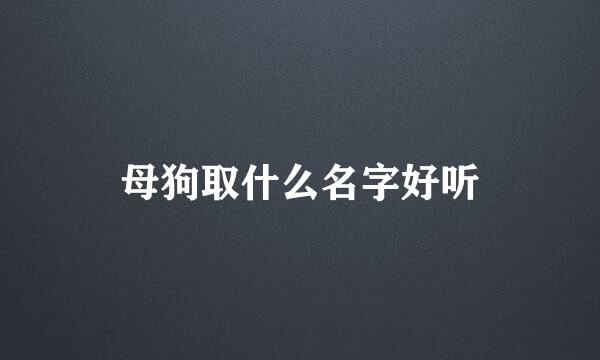 母狗取什么名字好听