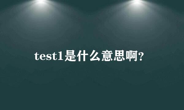 test1是什么意思啊？