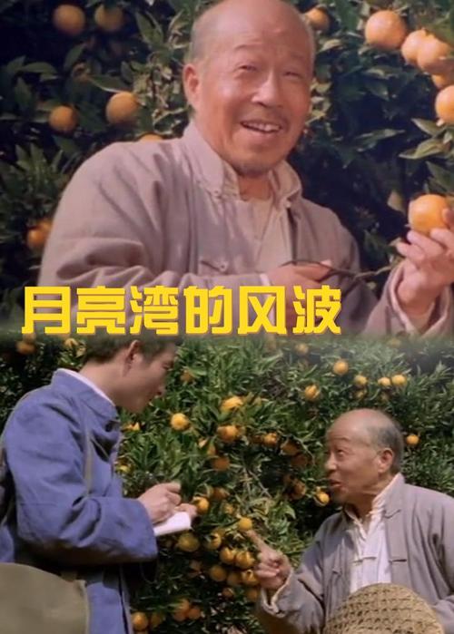 求《月亮湾的风波?(1984)》百度网盘在线资源，主演是张雁