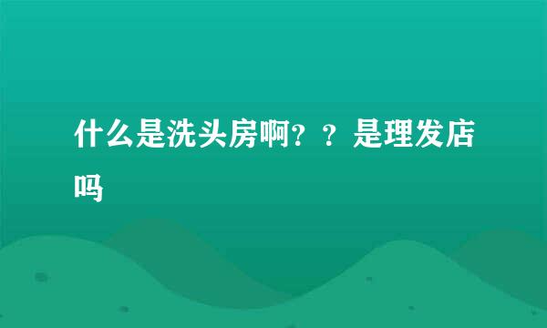 什么是洗头房啊？？是理发店吗