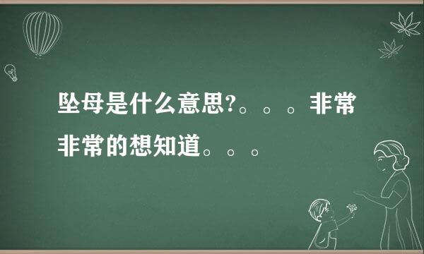 坠母是什么意思?。。。非常非常的想知道。。。