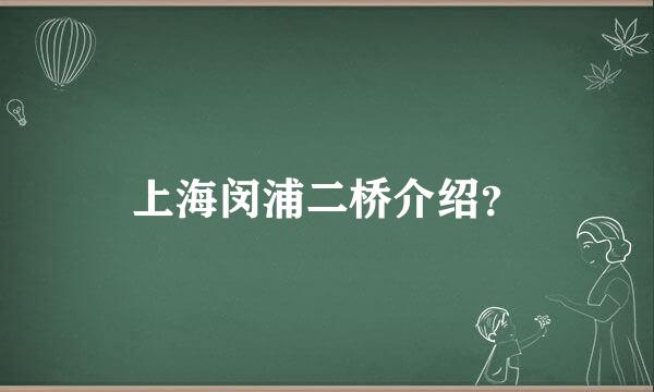 上海闵浦二桥介绍？