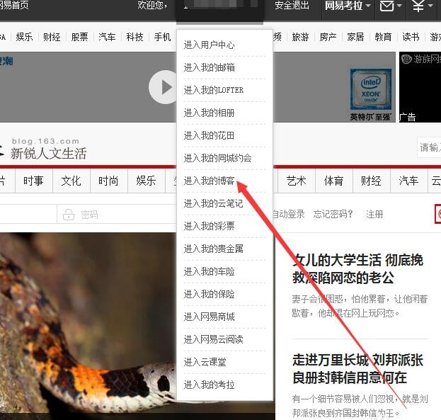 如何登陆网易163的个人博客