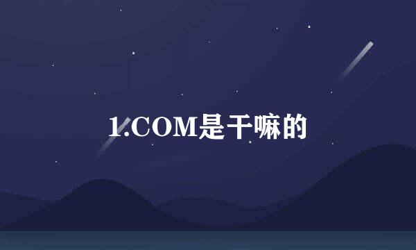 1.COM是干嘛的