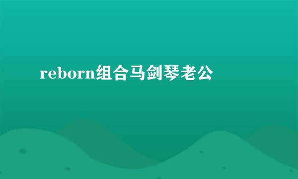 reborn组合马剑琴老公