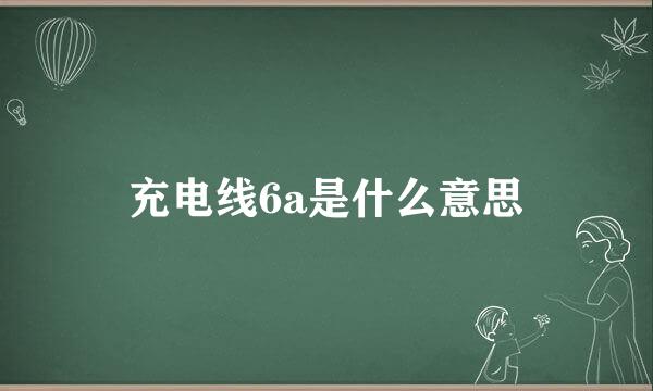 充电线6a是什么意思