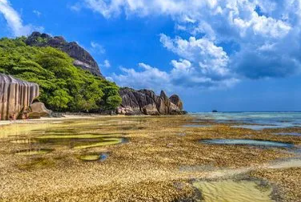 象牙海岸是哪个国家