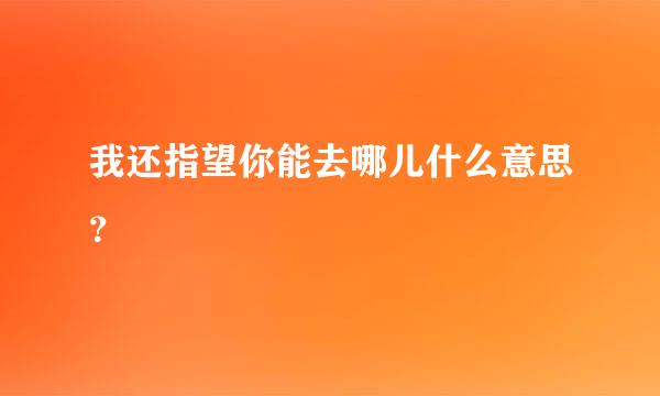 我还指望你能去哪儿什么意思？