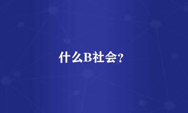 什么B社会？