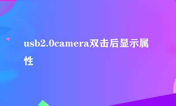 usb2.0camera双击后显示属性