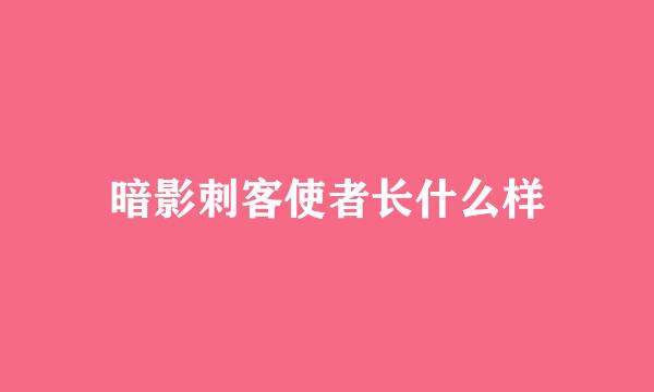 暗影刺客使者长什么样