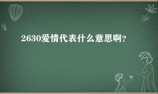 2630爱情代表什么意思啊？