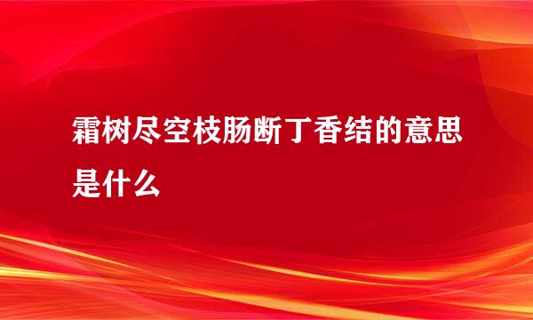 霜树尽空枝肠断丁香结的意思是什么