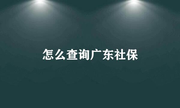 怎么查询广东社保