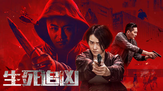 求分享《生死追凶(2019)》百度网盘资源，主演是洪爽