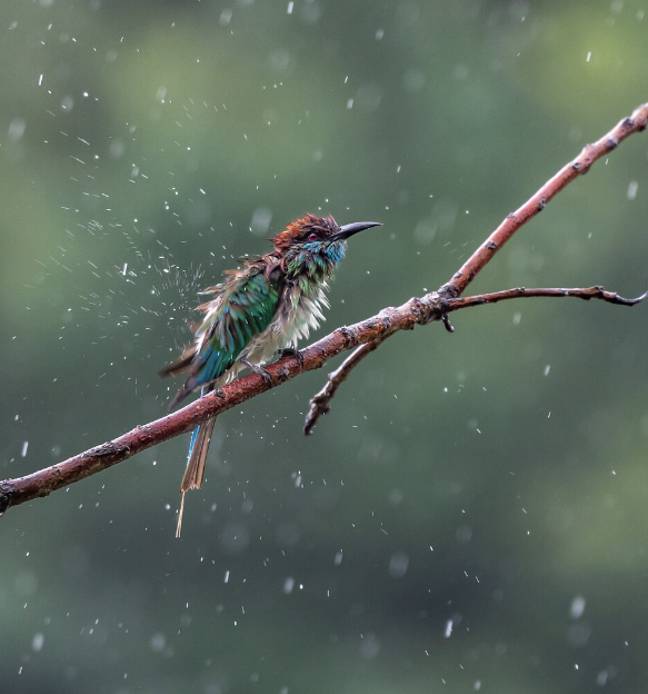 大雨滂沱是什么意思