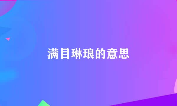 满目琳琅的意思