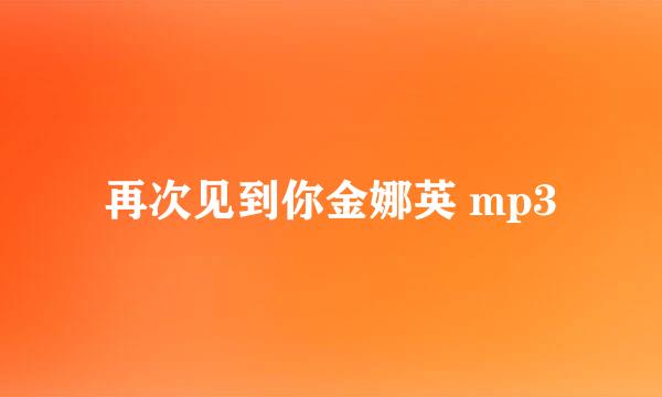 再次见到你金娜英 mp3