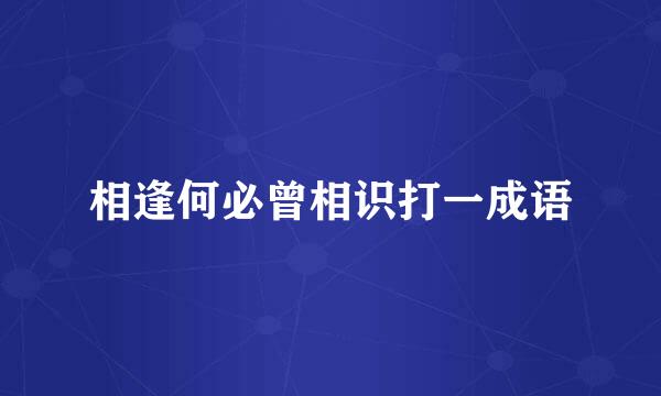 相逢何必曾相识打一成语