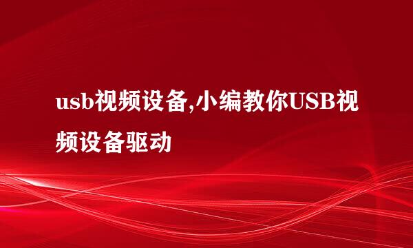 usb视频设备,小编教你USB视频设备驱动