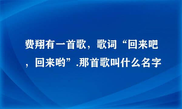 费翔有一首歌，歌词“回来吧，回来哟”.那首歌叫什么名字