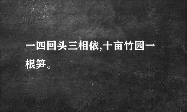 一四回头三相依,十亩竹园一根笋。