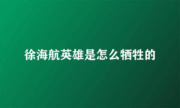 徐海航英雄是怎么牺牲的