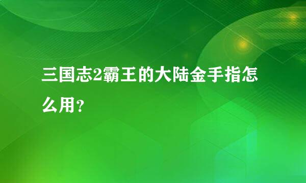 三国志2霸王的大陆金手指怎么用？