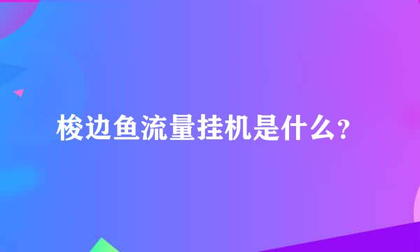 梭边鱼流量挂机是什么？