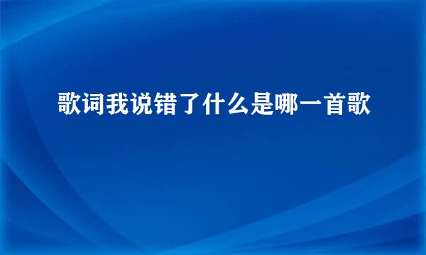 歌词我说错了什么是哪一首歌