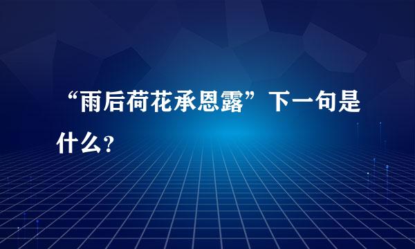 “雨后荷花承恩露”下一句是什么？