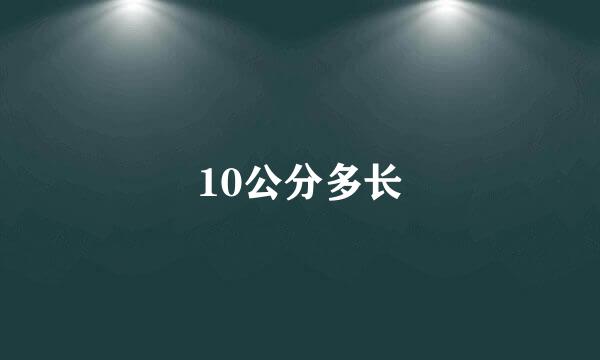 10公分多长