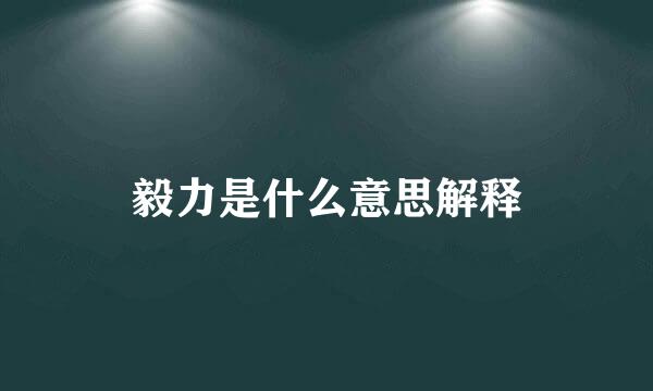 毅力是什么意思解释