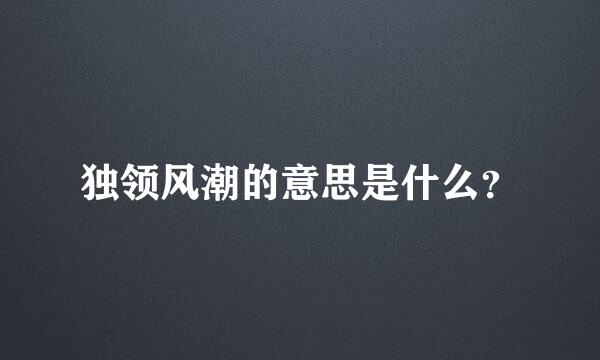 独领风潮的意思是什么？