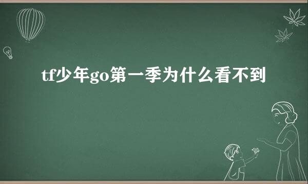 tf少年go第一季为什么看不到