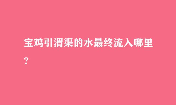 宝鸡引渭渠的水最终流入哪里？