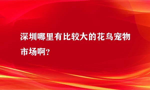 深圳哪里有比较大的花鸟宠物市场啊？