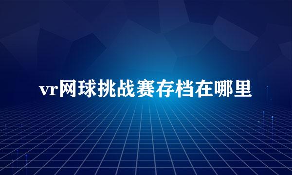 vr网球挑战赛存档在哪里