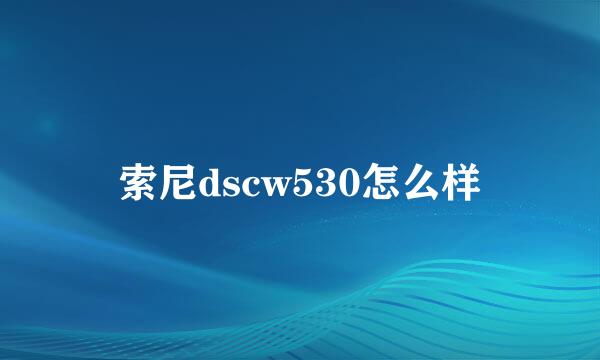 索尼dscw530怎么样