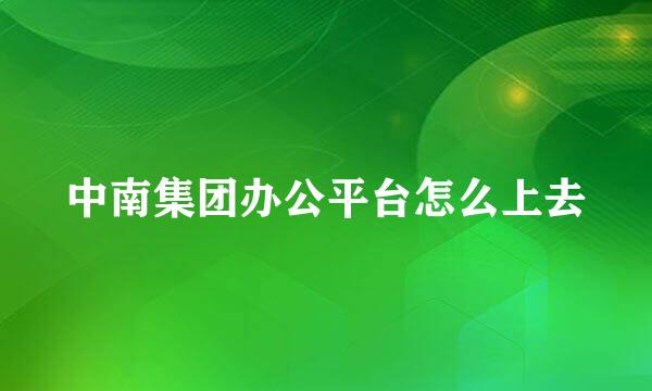 中南集团办公平台怎么上去