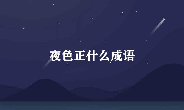 夜色正什么成语