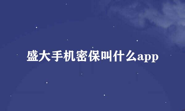 盛大手机密保叫什么app