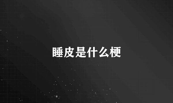 睡皮是什么梗