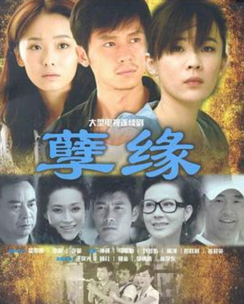 《孽缘(2010)》免费在线观看完整版高清,求百度网盘资源