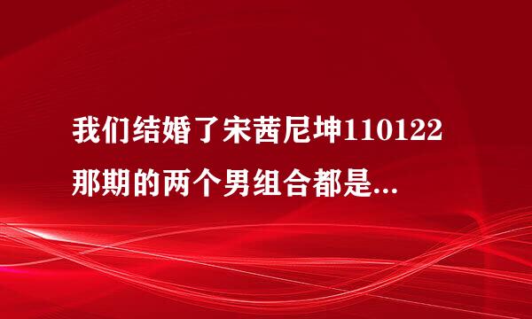 我们结婚了宋茜尼坤110122那期的两个男组合都是哪两个?