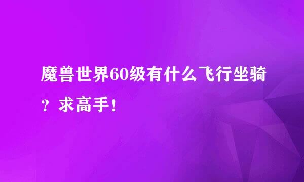 魔兽世界60级有什么飞行坐骑？求高手！